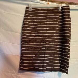 Ann Taylor Skirt